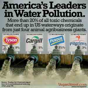 America's leaders in water pollution