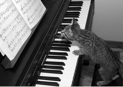 poes bij de piano