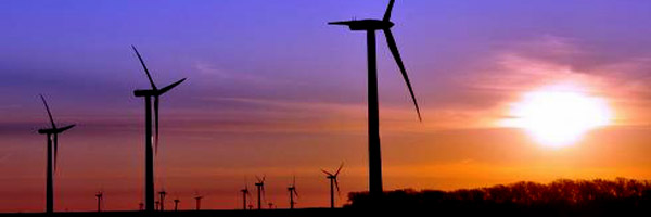 wind mills in evening light