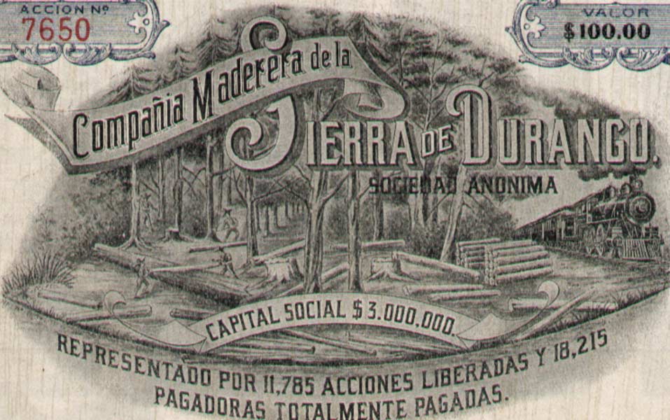 compania Madeira de la Sierra de Durango, share
