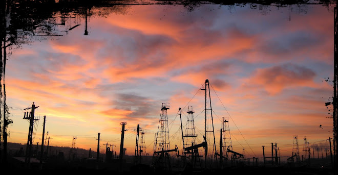 scripophily of Rumanian Oil Wells